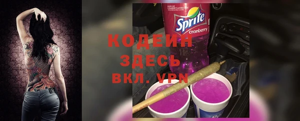 apvp Бородино