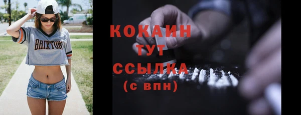 apvp Бородино