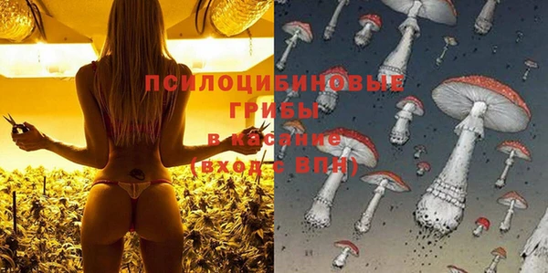 шишки Верхний Тагил