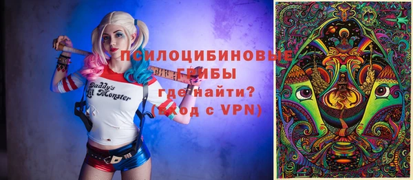 Альфа ПВП Бугульма