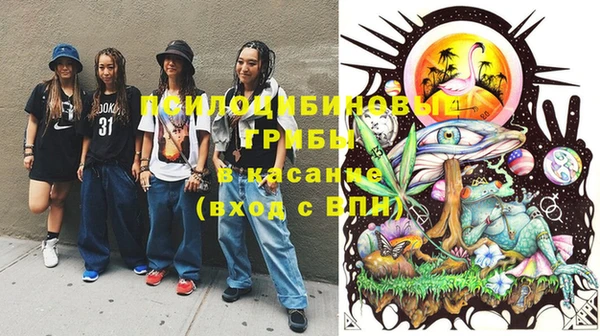 Альфа ПВП Бугульма