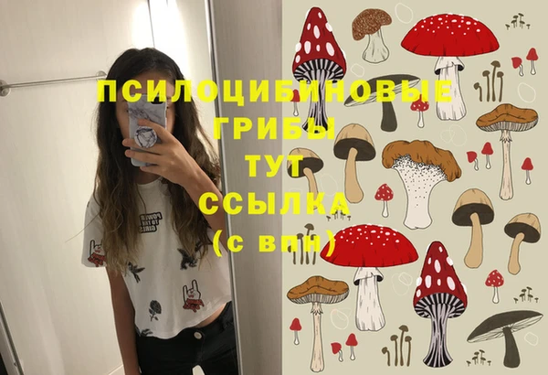 Альфа ПВП Бронницы