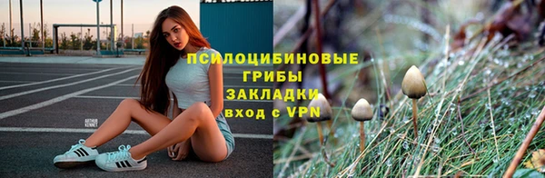 Альфа ПВП Бронницы