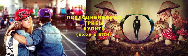гидропоника Верея