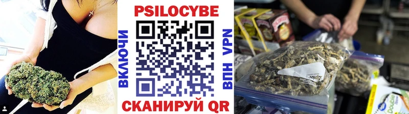 Купить  Верхний Уфалей  Псилоцибиновые грибы Psilocybe 